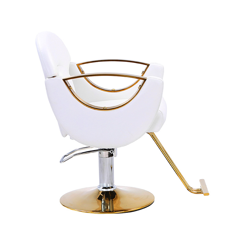 HZ8765BZ / HZ8765WZ / HZ8765PZ / HZ8765Z 軽量スタイリングサロンチェア