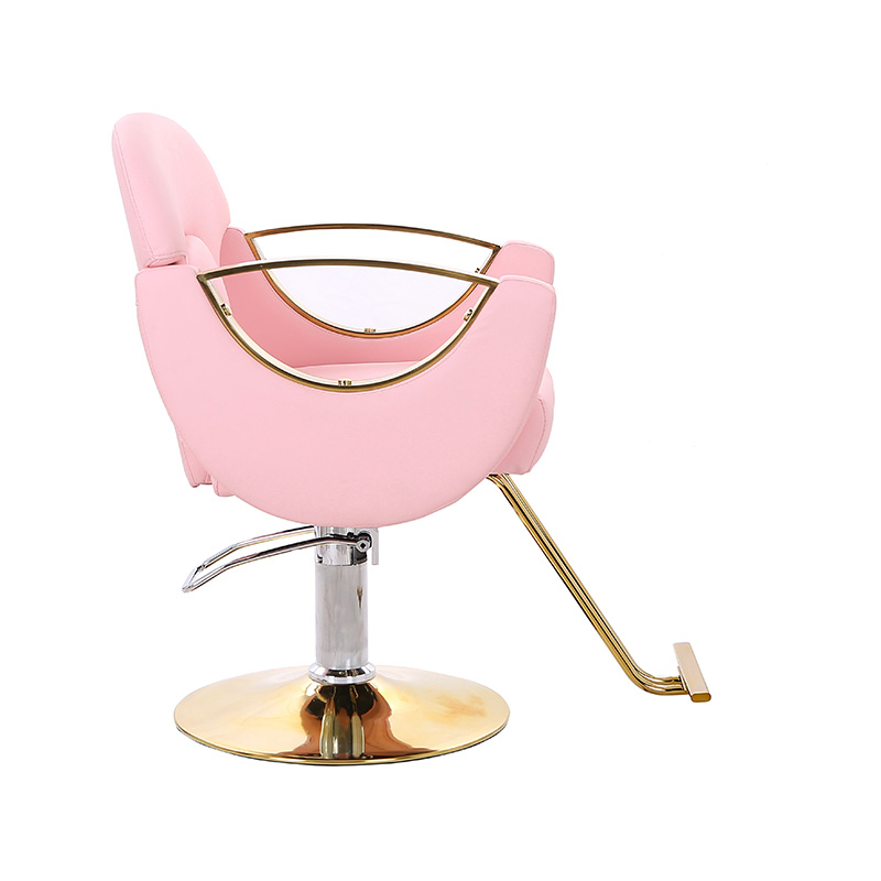 HZ8765BZ / HZ8765WZ / HZ8765PZ / HZ8765Z 軽量スタイリングサロンチェア